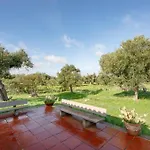 Ada *